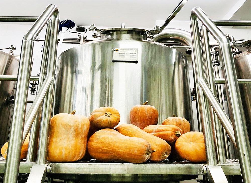 <strong>Pivolabs Craft Brewery In Macedonia installed 500L Brewery Equipment from Tiantai brewtec</strong>